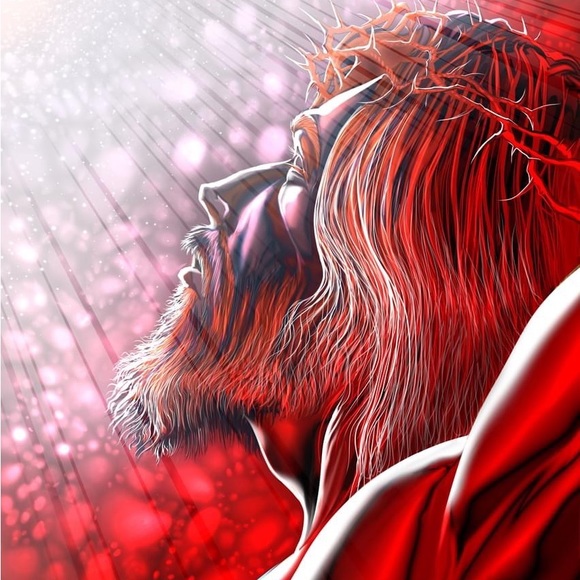 Meet your Posher, Ardo - Picture 1 of 1